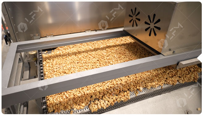 3 Seasoned Peanut Drying Machine.jpg